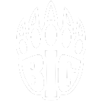 BIG