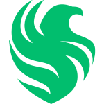 Falcons Logo