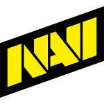 NAVI Logo